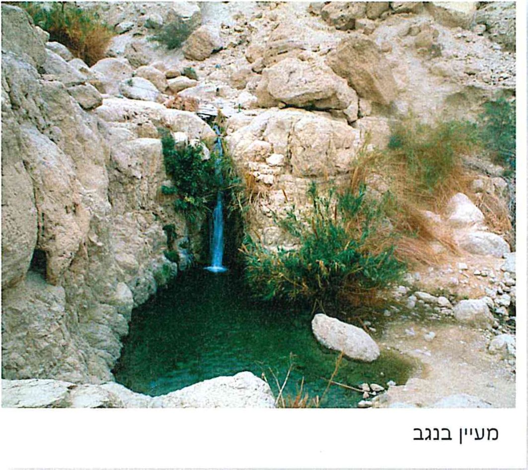 מעיין בנגב